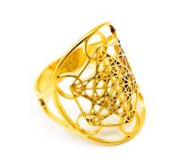 AB Viking Crafts Metatrons Cube Finger Ring One Size Open Stainless Steel in Jewellery Box Spirituality Happiness Energy Metaphysics, one size, Cardboard