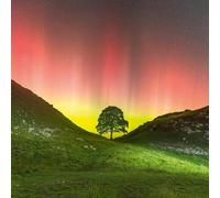 Abacus Cards | 6 Pack | Sycamore Gap Near Crag Lough Greeting Card | British Landmark Notecard | Blank Inside | FSC Eco-Friendly | For Landscape Lovers