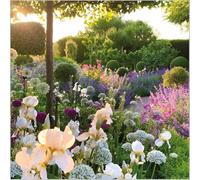 Abacus Cards Birthday/Blank Greeting Card for Men/Women with Gardeners' World Floral Ordnance House, Wiltshire Design - General Card Suitable for Any Occasion