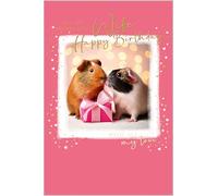 Abacus Cards Birthday Card for Wife - Cute Guinea Pig Design - Embossed Foil Finish - Birthday Greeting Card to my Wonderful Wife - For Her