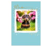 Abacus Cards Birthday Greeting Card for Mum - Cute Dachshund Dog and Roses Design - Foil Finish Birthday Greeting Card for Her - 'Especially for You'