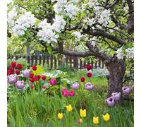 Abacus Cards Blank Greeting Cards 6 Pack (125 x 125mm) with Envelopes - Spring Garden Floral Notecards - All Occasion, Blank Inside - Recyclable Wallet