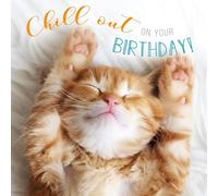 Abacus Cards CAT ''Chill Out'' Birthday Card Photographic Rapture Range, 159cm x 159cm / 6.25 x 6.25 Inches