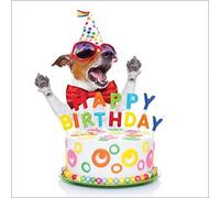 Abacus Cards Dog Puppy Happy Birthday Card 7866