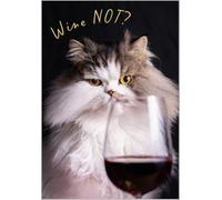 Abacus Cards Funny Birthday Card - Happy Birthday Card with Humorous 'Wine Not?' Fluffy Cat Design and Embossed Foil Details - Birthday Card for Women, Men, Friends