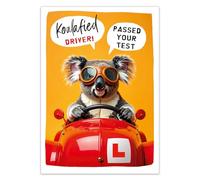 Abacus Cards Funny Congratulations on Passing Your Driving Test Card - Cute Koala in Car, Eco-Friendly & Made in the UK