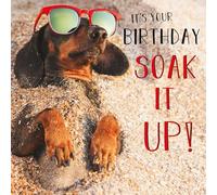 Abacus Cards Funny Dog Birthday Card - Chill Sausage Dog with Sunglasses - Premium Quality Humorous Birthday Greeting Card with Envelope - 'Soak It Up!'