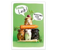 Abacus Cards Funny Good Luck Card - Amusing Guinea Pigs, Eco-Friendly & Made in the UK - 'Rooting for You' Joke