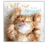 Abacus Cards Male/Female Birthday Card - General Funny Card for Men/Women - 'Chill Out' Sleeping Kitten - Eco-Friendly & Recyclable - Made in the UK