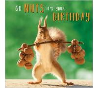 Abacus Cards Funny Open 'Happy Birthday' Greeting Card - Go Nuts - Weightlifting Squirrel - From The Rapture Range