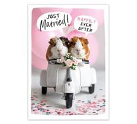 Abacus Cards Congratulations On Your Wedding Day Card - Cute Guinea Pigs, Eco-Friendly & Recyclable - 'Happily Ever After'