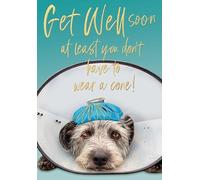 Abacus Cards Get Well Card - Dog Wearing Cone Collar Embossed with a Foil Finish - Eco-Friendly and Recyclable
