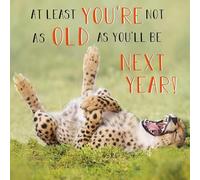 Abacus Cards LAUGHING CHEETAH Funny Birthday Card Rapture Range, multi