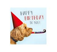 Abacus Cards Male/Female Funny Open 'Happy Birthday' Greeting Card - From The Rapture Range - 'Birthday Dog' Cockapoo Party Hat, Multicolor, 160 x 159mm (13708)