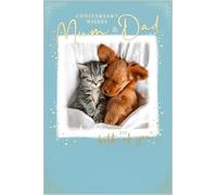 Abacus Cards Mum and Dad Anniversary Card - Happy Anniversary Card for a Special Couple with Adorable Photographic Sleeping Puppy Dog and Kitten Design with an Embossed Foil Finish