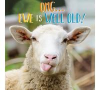 Abacus General Male/Female Funny Birthday Card - Rude Ewe - Eco-Friendly & Recyclable - Made in the UK Cards