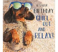 Abacus Male/Female Birthday Card - General Funny Card for Men/Women - 'Chill Out and Relax' Dachshund Dog on Beach - Eco-Friendly & Recyclable - Made in the UK Cards