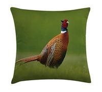 ABAKUHAUS Bird Throw Pillow Cushion Cover, Common Pheasant Long Tail on the Grass Meadow Habitat Czech Republic European, Decorative Square Accent Pillow Case, 20 X 20 Inches, Green Orange Red