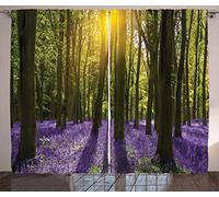 ABAKUHAUS Woodland Curtains, Sunbeams in the Forest of Bluebells Blooms Deep in Woodland Oxfordshire, Living Room Bedroom Window Drapes 2 Panel Set, 102 L X 110 W, Violet Green Yellow