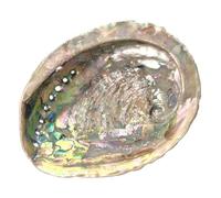 Abalone Shell | INKANAT | big size 12-15cm perfect for palo santo, sage sticks and decorative.