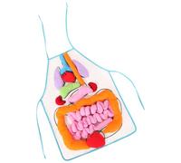 Abaodam 1 Set Human Organs Apron for Early Learning Transparent Anatomy Teaching Aid for Preschool Educational for Understanding Body Structure and Organ Functions