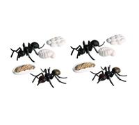 Abaodam 10 PCS Artificial Ant Model Set Educational for Home Kindergarten Realistic Growth Cycle Figurines for Teaching Biological Concepts and Birthday Parties