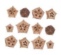 Abaodam 12pcs Natural Parrot Chewing Foraging Shredding for Budgies Cockatiels and Other Birds Enhance Mental Health and Curiosity