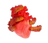 Abaodam 1Set Halloween Scary Broken Finger Props Horror Party Decorations with Realistic Design for Haunted House Distressed Fingers Heart for Frights