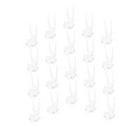 Abaodam 20pcs Bird Food Forks for Parrots and Small Pets Fixed Vegetable and Fruit Skewers Multifunctional Cage Food Holders for Birds Hamsters Guinea Pigs for Easy Feeding