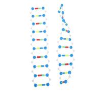 Abaodam 2pcs Dna Double Helix Model Kit for Students, Molecular Structure Components Educational Science for Genetics Teaching and Gene Variation Experiments