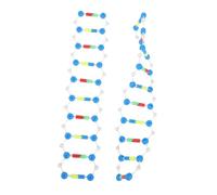 Abaodam 2pcs Dna Model Kit Double Helix Structure Molecular Science Models for Students Biology Teaching Educational Tool for Genetics Learning and Classroom Use