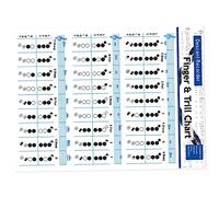 Abaodam 2pcs Flute Chord Chart Recorder for Boys and Girls Chord Poster Clarinet Note Chart School Flute Supplies