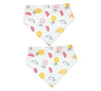 Abaodam 2pcs Fruit Pattern Dog Bandana Summer Breathable Triangle Scarf for Pets Birthday Party Accessory Lightweight Cute Puppy Kerchief for Daily Wear and Photos