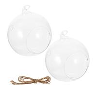 Abaodam 2pcs Hanging Glass Globe Terrarium Air Plants Holder 15cm Large Openings for Indoor Home Wall Decoration Botanical Display