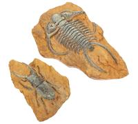 Abaodam 2Pcs Lifelike Gecko Box Ornaments for Reptile Terrariums Resin Fossil Decor with Creative Lizard Landscape Design Lightweight DIY Habitat Accessories for Pets