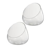 Abaodam 2pcs Notch Skew Glass Landscape, Glass Flowerpots with Slant Opening, Multi-Functional Kitchen Organizer Bottles for Home Storage and Decoration