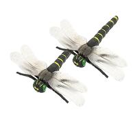 Abaodam 2Pcs Realistic Dragonfly Model Cognitive Insect Ornament for Early Education Safe Plaything for Boys for Teaching and Social Development