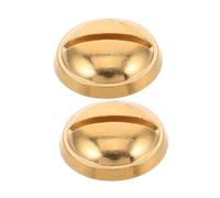 Abaodam 2pcs Saxophone Repair Accessories Wind Instrument Repair Screws for Instrument Repair Neck Receiver Attach Screw Sax Instrument Repair Kit Bass Saxophone Repair Kit Golden Metal