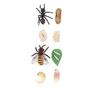 Abaodam 2sets Decorative Cycle Models Educational Toy Boys and Girls Featuring Honey Bee and Ant Growth Cycle for Preschool Learning and Biology Understanding