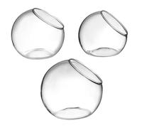 Abaodam 3pcs Glass Terrarium Bottles Micro Landscape Plant Containers for Succulent Moss Air Plants Indoor Decorative Eco Bottle Garden