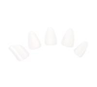 Abaodam 3sets Nylon Pipa Picks Pain-free Design Essential for Amateur Players 5pcs*3