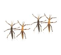 Abaodam 4 Pcs Educational Stick Insects Models Realistic Plastic Insect Figurines for Learning and Home Decor Simulation Statues for Cognitive Teaching and Halloween Party Use