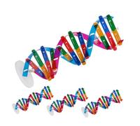 Abaodam 4pcs Dna Double Helix Structure Models Biological Genes Teaching Tool DIY Scientific Dna Model Kit for School Students Educational Science Exploration