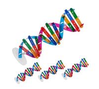 Abaodam 4pcs Dna Model Double Helix Structure Kit Scientific Human Gene Learning Educational Teaching Tool for Biology Classroom DIY Assembly
