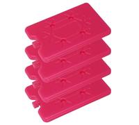 Abaodam 4pcs Reusable Water-filled Ice Packs 200ml Pe Material Rapid Cooling Ice Substitute Packs for Lunch Boxes and Fishing Coolers, Non-toxic and Lightweight Cooler Accessories
