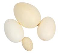 Abaodam 4pcs Simulation Bird Egg Assorted Speckled Colors Lightweight Educational for Painting Practice and Easter Craft Activities