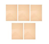 Abaodam 5 Sheets Orange Pvc Color Gels for Photography Lighting Gels Sheets with Material for Studio and Film Making Colour Filter Use