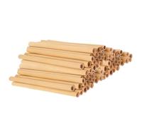 Abaodam 50pcs Natural Reed Bee Tubes for Beekeeping, Outdoor Pollination and Breeding Nesting Replacement Tubes in Khaki Colour, Sturdy and Eco-friendly Bee House Inserts