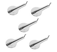 Abaodam 5pcs Beginner Mouth Harp National Musical Instrument Traditional Instrument Portable Jew Harp for Music Enthusiasts