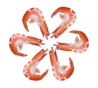 Abaodam 6pcs Realistic Pvc Shrimp Models for Aquarium Neocaridina Shrimp Hides Fake Food Props Gifts